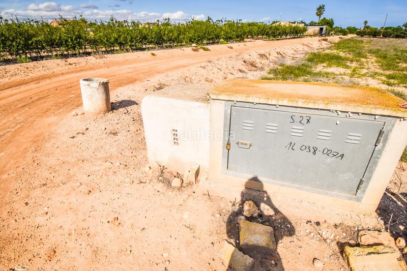 Foto de898bd7-7c4d-4719-b9d6-e155f54247d0. Finca rústica a Alzabares Elche / Elx