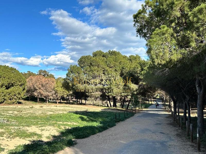 Foto e5a33536-ed96-4e2a-8786-7f462a6d278d. Pis a Buenavista Guardamar del Segura