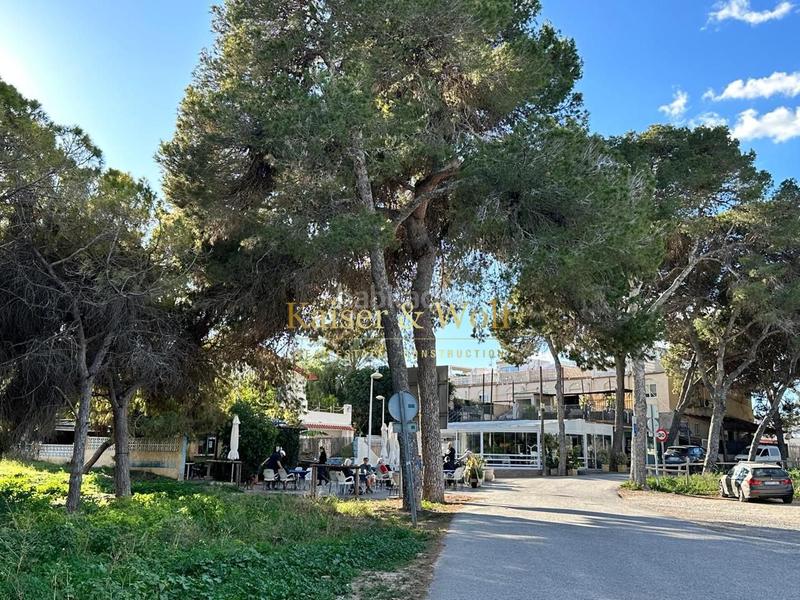 Foto 3f8fc0c2-457e-4b39-a827-9c71e403ff6d. Pis a Buenavista Guardamar del Segura