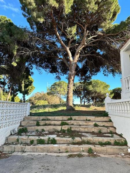 Foto 9209009d-1f29-488c-a943-50083081f7f6. Pis a Buenavista Guardamar del Segura