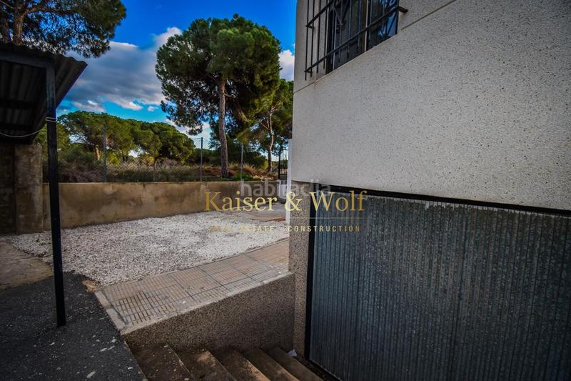 Foto a800f34f-066c-4394-80db-6562e4b51d4a. Pis a Buenavista Guardamar del Segura