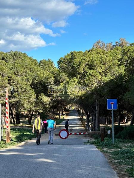 Foto e16c9391-b265-4062-a25a-dead5f8eb300. Pis a Buenavista Guardamar del Segura