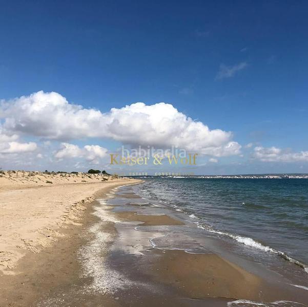 Foto fbc90457-89f5-41fa-b2be-01fc426a4433. Pis a Buenavista Guardamar del Segura