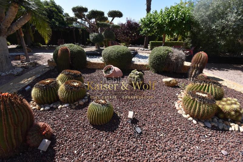 Foto 133a36bc-41e3-4683-91d7-d57118318136. Casa chalet en la hoya en La Foia - Daimés - Asprella Elche / Elx