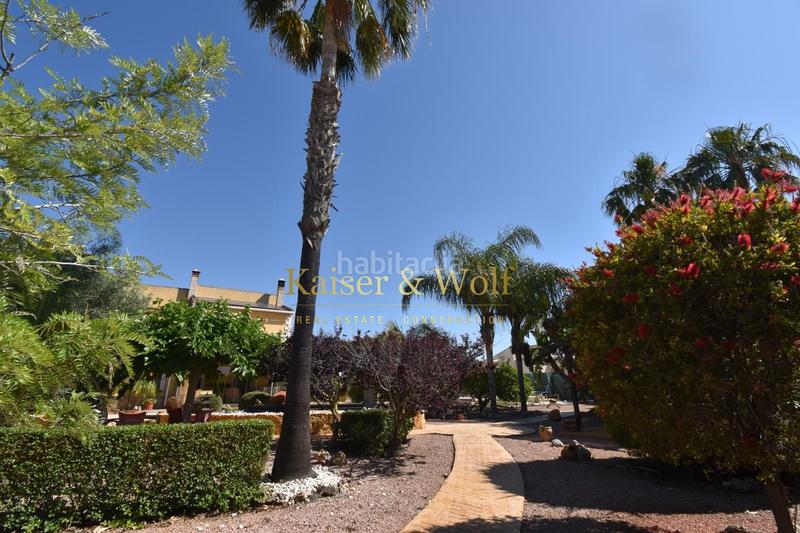 Foto 517cd785-4a3f-40a6-8810-1095b5e886a1. Casa chalet en la hoya en La Foia - Daimés - Asprella Elche / Elx