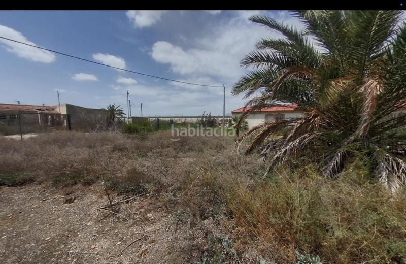 Foto 70684f17-1acd-4d4c-9bcd-85a7201fe136. Masia a Crevillente