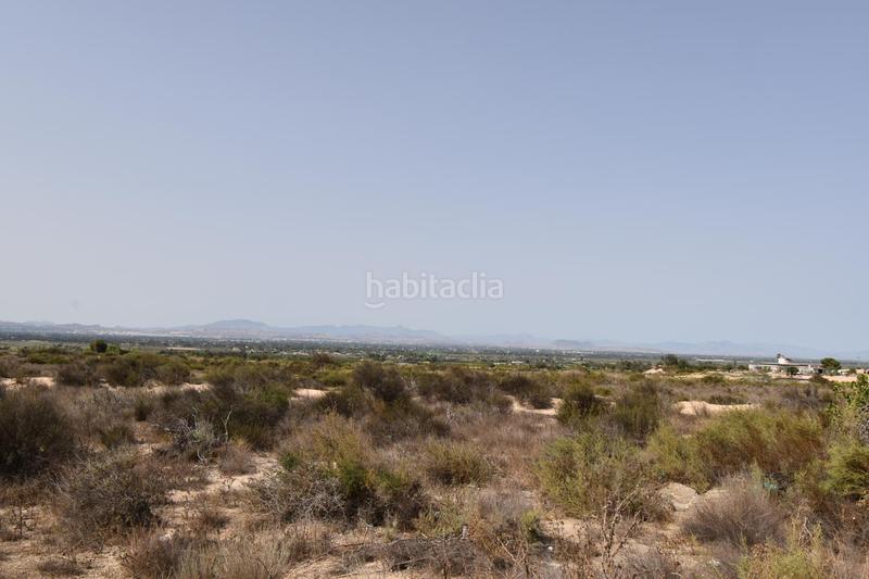 Foto 8edda96f-5674-46fe-a77d-49b9a28f270e. Casale con piscina in La Marina Elche / Elx