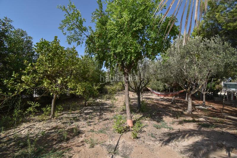 Foto 029703e3-db08-443d-9597-cecd65379fae. Masía casa de campo en daimes en La Foia - Daimés - Asprella Elche / Elx