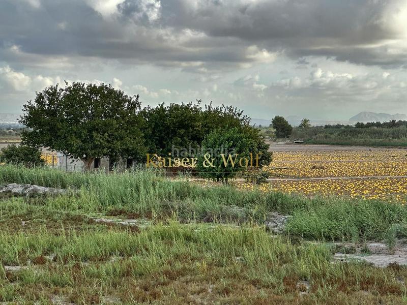Foto 1750ca19-7883-4857-bd88-e828f4652dc9. Mas dans La Marina Elche / Elx
