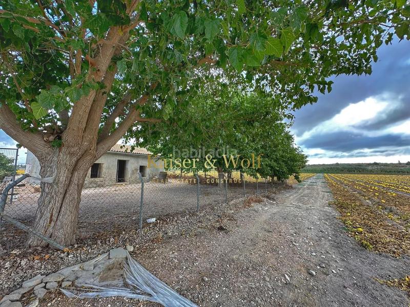 Foto f4f48d3a-06f5-4bab-b62b-05c9ea4aed35. Mas dans La Marina Elche / Elx