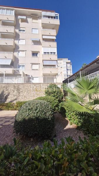 Foto 07bccf40-3581-4322-ad69-97eb9ad728cf. Ground floor with parking pool in Los Arenales del Sol Elche / Elx