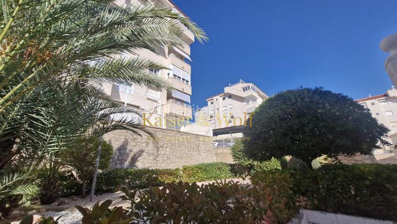 Foto 8ada404d-8d0d-4320-be3e-954349090046. Ground floor with parking pool in Los Arenales del Sol Elche / Elx