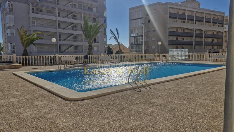 Foto a83a88b3-a624-4ac9-ab77-06445accd47e. Ground floor with parking pool in Los Arenales del Sol Elche / Elx