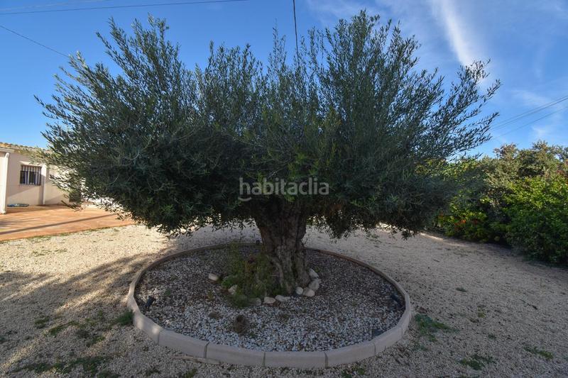 Foto cde78236-4405-4586-b5fa-7f021f3a1322. Masia amb piscina a Las Bayas Elche / Elx