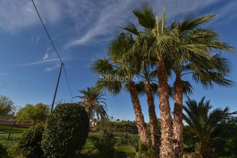 Foto ef76023c-2f4d-4aa9-aa6a-52ddfb8018c1. Masia amb piscina a Las Bayas Elche / Elx