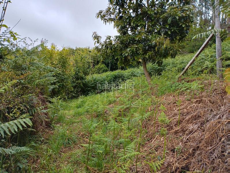 Foto 3b76c23a-4d93-46fe-8544-d261f0f1f81b. Haus mit heizung in Carreño