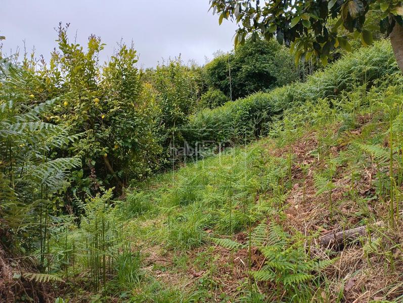 Foto 7a0262d8-377c-4b4b-98d0-c24cfcaa4a6c. Haus mit heizung in Carreño