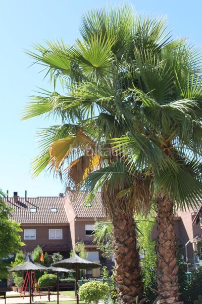 Foto 66ba72ba-8d48-4102-8180-32324f58a739. Casa adosada adosado en paseo de la salud, en Universidad-Hospital Fuenlabrada