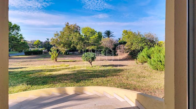 Foto b13ff552-aaeb-4fc9-87b8-5c09f7a885d7. Planta baja bajo en gola del puchol, en El Saler Valencia