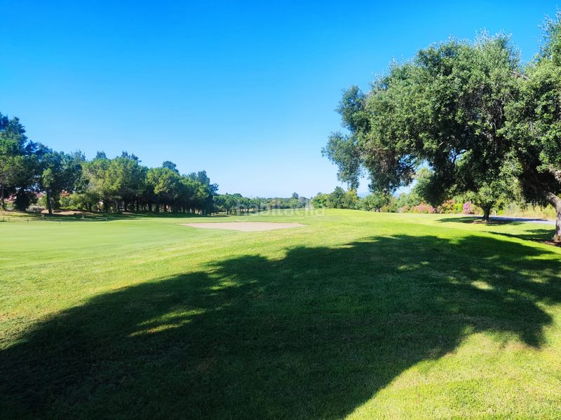 Foto d93d50db-23aa-41a9-96d7-122442270de4. Terreny residencial a Migjorn Reus