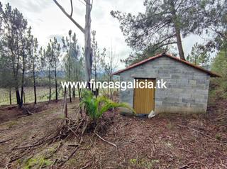 Finca rústica a Monterrei. Parcela rústica ubicada en la zona de monterrei - albarellos, co