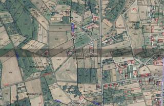 Finca rústica a Verín. Zona vilela
superficie:     4.684 m2 aprox.          
amplio t