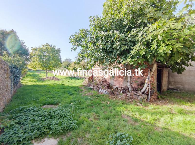 Foto 39475870-6eee-45f1-8c7e-b9c0c3eff65c. Casa amb aparcament a Riós