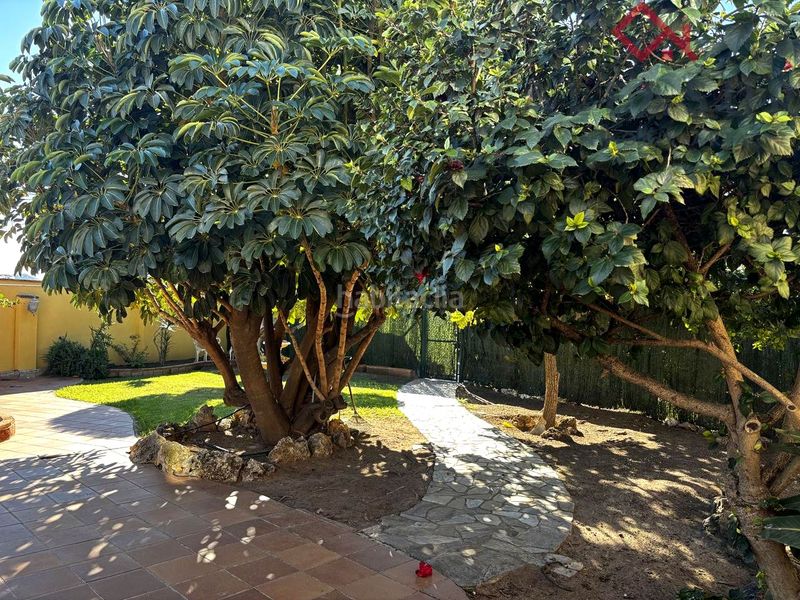 Foto e13a8abc-e7ae-4554-92a0-186a7b7b6cc9. Lloguer casa amb calefacció piscina a Puertosol Málaga