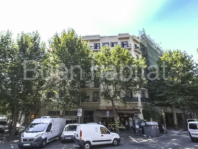Foto ad49a105-c12c-44f7-bdf3-9e454c0bfa28. Pis a La Nova Esquerra de l´Eixample Barcelona