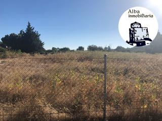 Rural plot in Terradillos