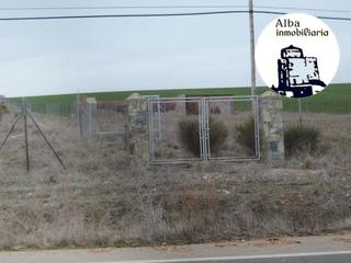 Finca rústica a Alba de Tormes. Tierra de labor