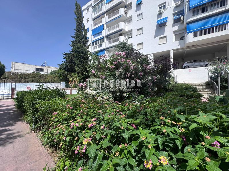 Foto c6b0c917-238a-45b0-bc1d-5d6c74c3b883. Pis a Cotomar Rincón de la Victoria