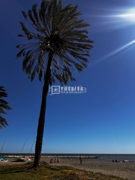 Foto fee1d641-7c29-47d3-bfab-cd23293c7c45. Casa a El Palo Málaga