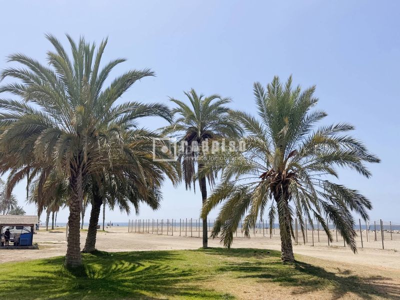 Foto a29ff37a-46f2-4d00-91cc-7d42c213e147. Apartament a Pedregalejo - Morlaco Málaga