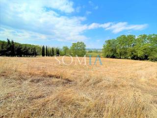 Finca rstica a Santa Maria de Palautordera. Terreno rstico serra de cal gaig