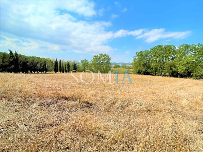 Foto b151aa11-bc52-44bb-a61e-8c749c805ce9. Finca rústica terreno rústico serra de cal gaig en Santa Maria de Palautordera