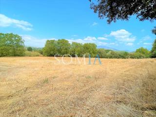 Rural plot in Santa Maria de Palautordera. Terreno rústico serra de cal gaig