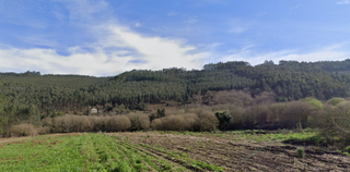 Finca rústica a Lugar bordelle 35. Finca rustica abegondo