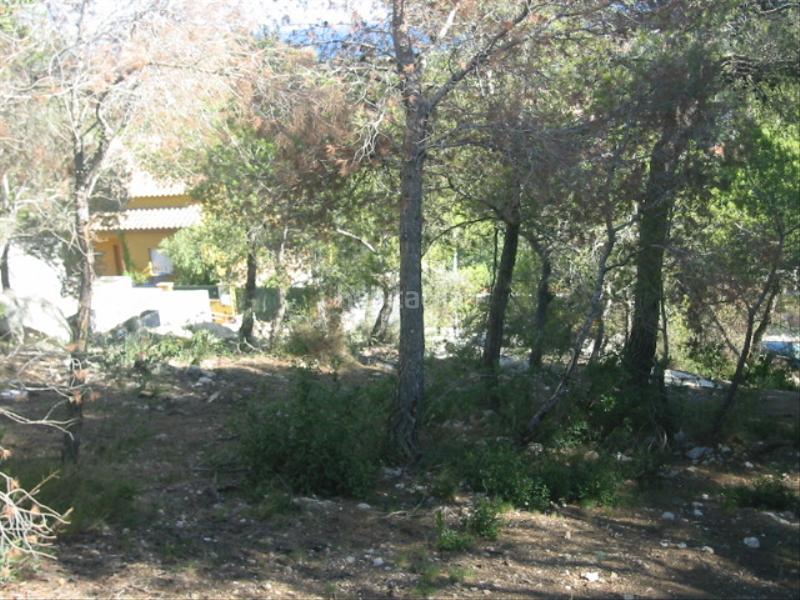 Foto 09120174-844c-4125-8fec-d3451beffb20. Wohngrundstück in carrer pau casals 17 in Roda de Barà