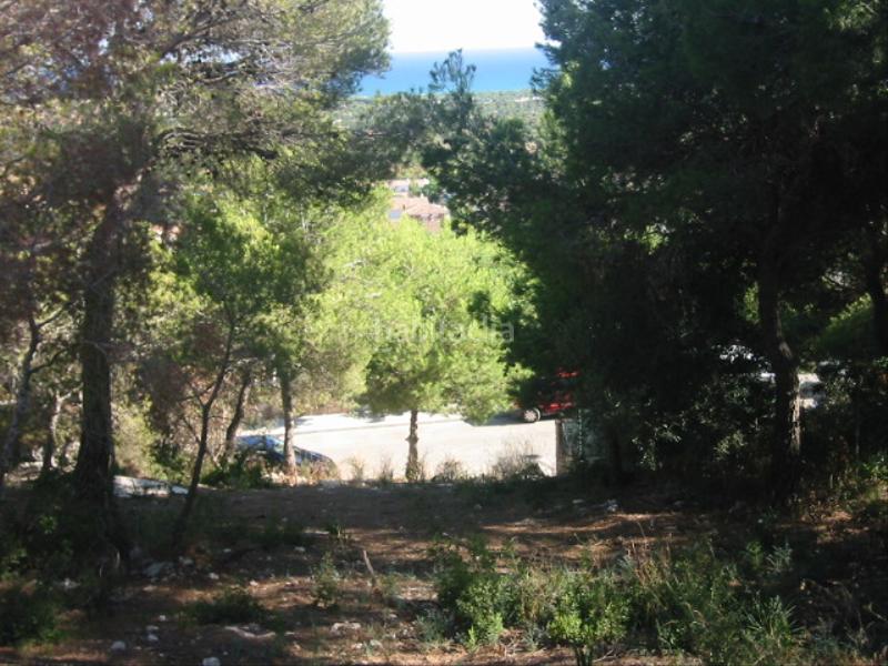 Foto 1a0d30bd-2a84-44df-9fb5-c192b26b2e62. Wohngrundstück in carrer pau casals 17 in Roda de Barà