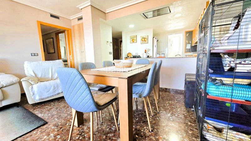 Foto 01453a11-fb53-4875-a323-dd5bab9b66c5. Pis a Albal