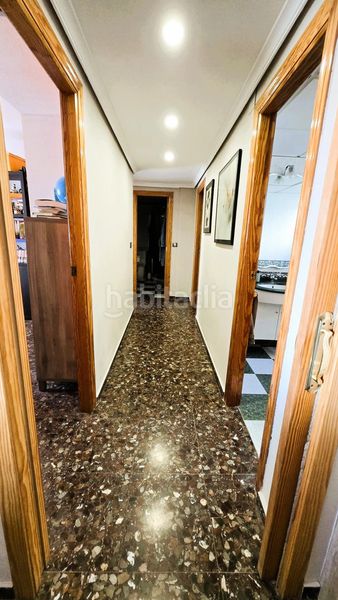 Foto 08bd4d94-f946-49a0-962a-9dcc5c321312. Pis a Albal