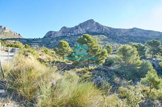 Finca rústica a Calle cabezoncillo 3. Terreno rústico de 12.000m2 a los pies del cabeço con increibles