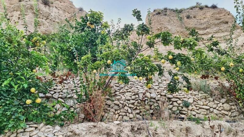 Foto 15dec645-aa6e-487b-906e-e6f41f0020ee. Finca rústica a Xixona