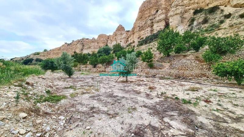 Foto 3b777eb9-0101-47ce-b33e-190e23bac728. Finca rústica a Xixona