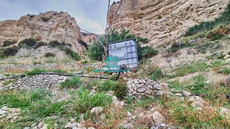 Foto 75a8c7d5-6a6f-49c5-9c81-dbe7db01e16a. Finca rústica a Xixona