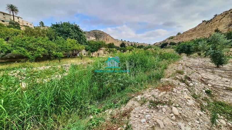 Foto a149ebdc-853b-4a60-90d2-60dae62cd0b8. Finca rústica a Xixona