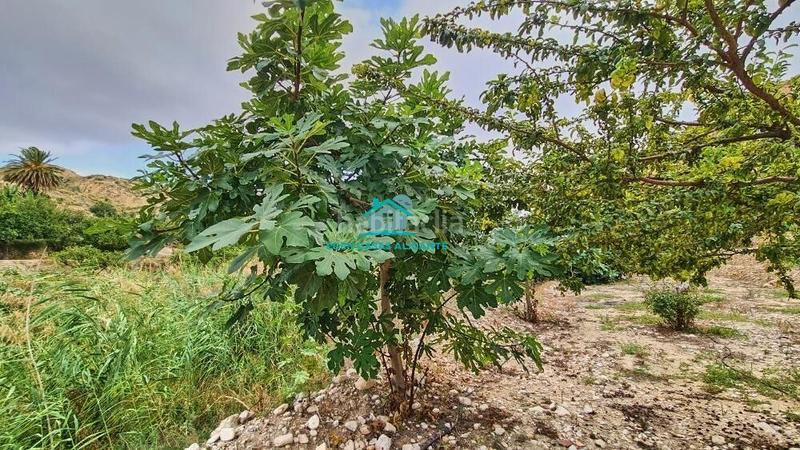 Foto b5e1cb0b-921c-45be-822f-82d47d410611. Finca rústica a Xixona