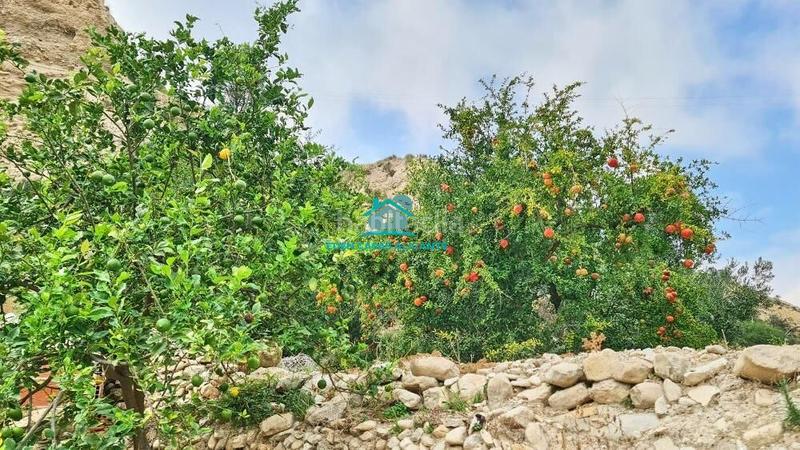 Foto dad3ff16-a388-41ec-9c17-a1c4a4264852. Finca rústica a Xixona