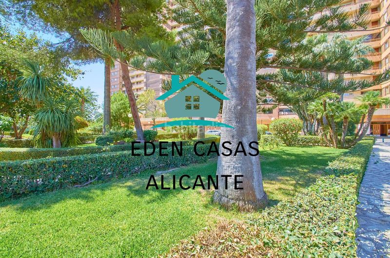 Foto 0e1538c4-4bd9-4267-a9d5-83fd5a7b20df. Piccolo appartamento in avenida costa blanca 22 in Alicante